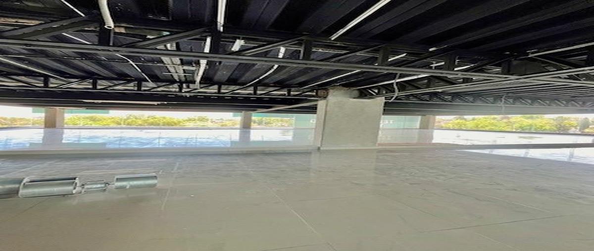 Foto de local en , lomas de chapultepec i sección, miguel hidalgo, df / cdmx, 26405277 foto 03 Foto de local en renta en , lomas de chapultepec i sección, miguel hidalgo, df / cdmx, 26405277 No. 03