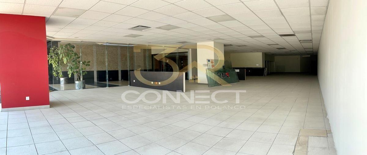 Foto de local en , lomas de chapultepec i sección, miguel hidalgo, df / cdmx, 26421016 foto 02 Foto de local en renta en , lomas de chapultepec i sección, miguel hidalgo, df / cdmx, 26421016 No. 02