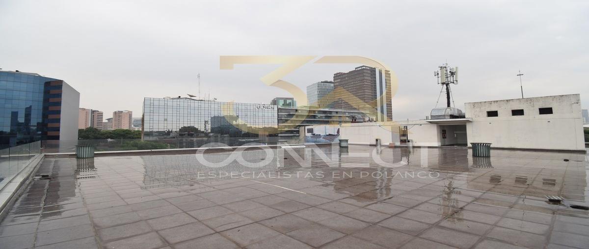 Foto de local en , lomas de chapultepec i sección, miguel hidalgo, df / cdmx, 28277819 foto 02 Foto de local en renta en , lomas de chapultepec i sección, miguel hidalgo, df / cdmx, 28277819 No. 02