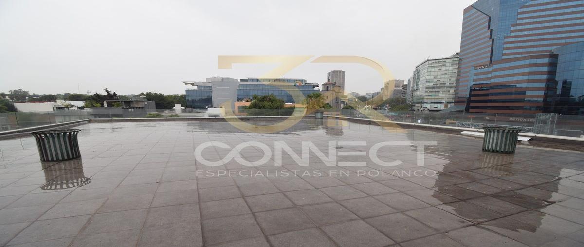 Foto de local en , lomas de chapultepec i sección, miguel hidalgo, df / cdmx, 28277819 foto 03 Foto de local en renta en , lomas de chapultepec i sección, miguel hidalgo, df / cdmx, 28277819 No. 03