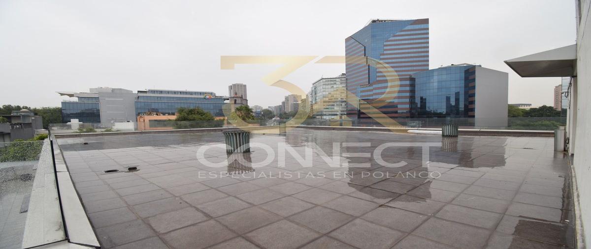 Foto de local en , lomas de chapultepec i sección, miguel hidalgo, df / cdmx, 28277819 foto 05 Foto de local en renta en , lomas de chapultepec i sección, miguel hidalgo, df / cdmx, 28277819 No. 05