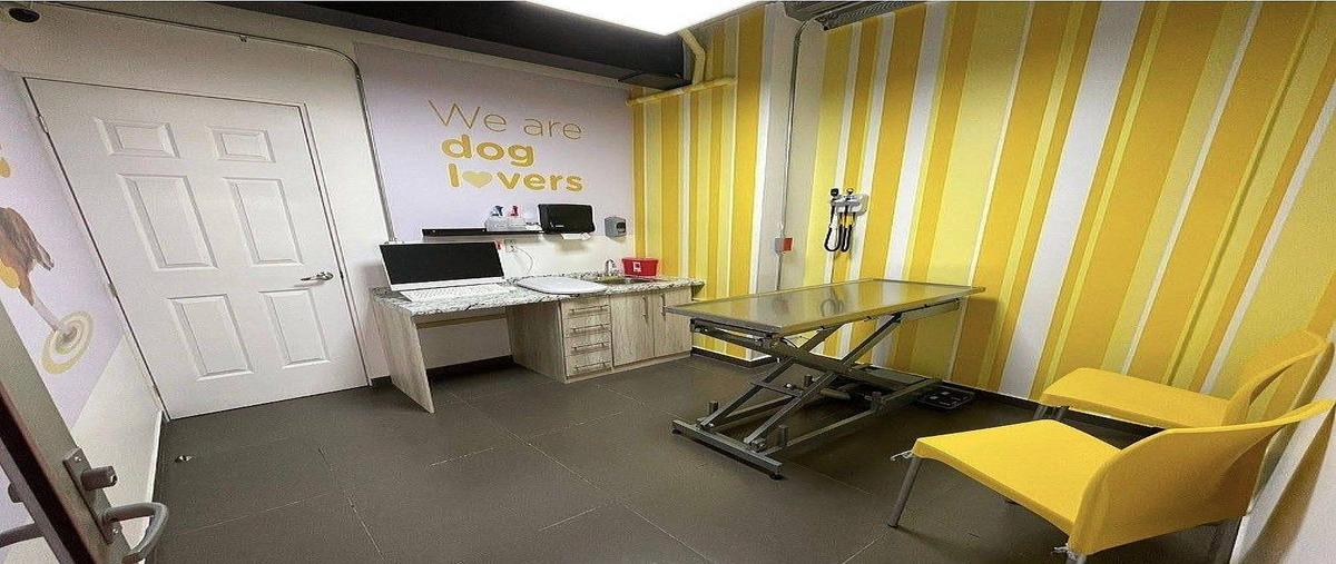 Foto de local en , lomas de chapultepec i sección, miguel hidalgo, df / cdmx, 0 foto 02 Foto de local en renta en , lomas de chapultepec i sección, miguel hidalgo, df / cdmx, 0 No. 02