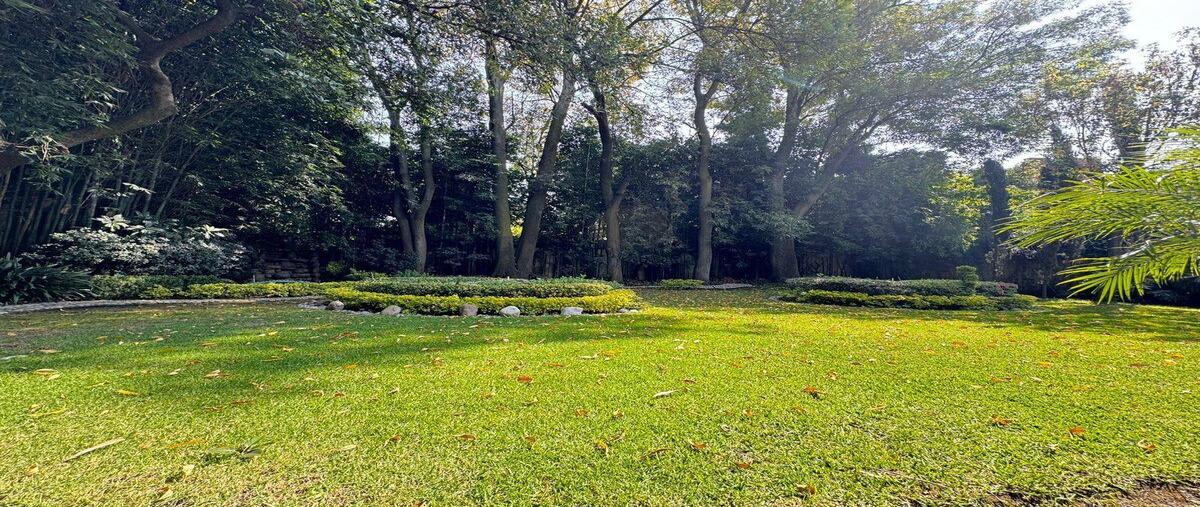 Foto de casa en venta en  , lomas de chapultepec i sección, miguel hidalgo, df / cdmx, 30933552 No. 04