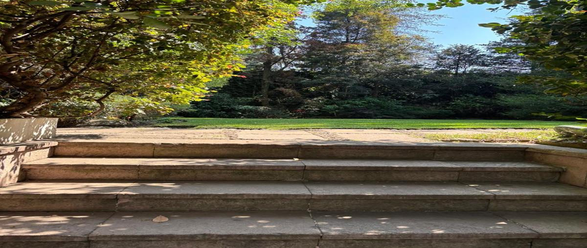 Foto de casa en venta en  , lomas de chapultepec iii sección, miguel hidalgo, df / cdmx, 0 No. 05