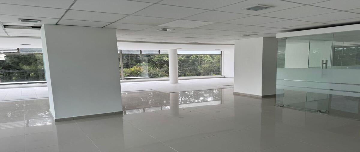 Foto de local en renta en lomas de chapultepec , lomas de chapultepec i sección, miguel hidalgo, df / cdmx, 0 No. 03