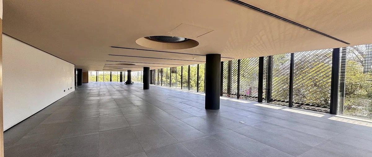 Foto de local en renta en  , lomas de chapultepec v sección, miguel hidalgo, df / cdmx, 31041068 No. 06