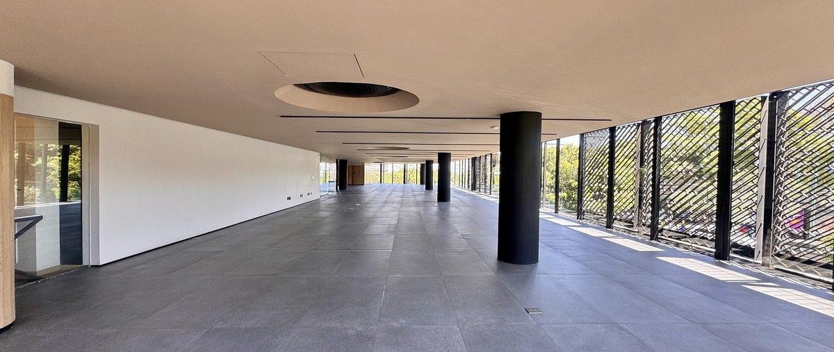 Foto de local en renta en  , lomas de chapultepec vi sección, miguel hidalgo, df / cdmx, 30998438 No. 04