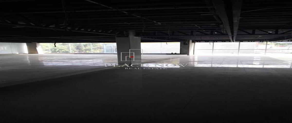 Foto de local en renta en  , lomas de chapultepec vii sección, miguel hidalgo, df / cdmx, 29528542 No. 05