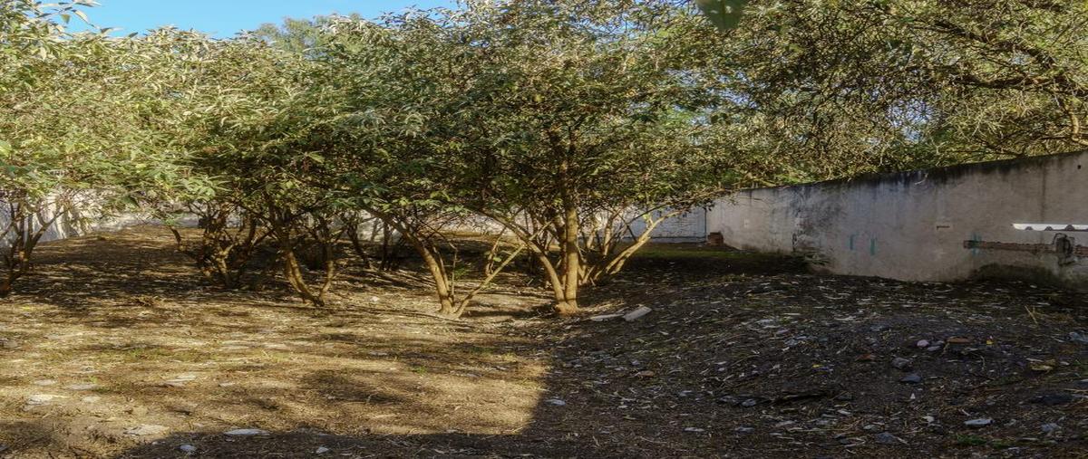 Foto de terreno habitacional en venta en  , lomas de chapultepec vii sección, miguel hidalgo, df / cdmx, 0 No. 03
