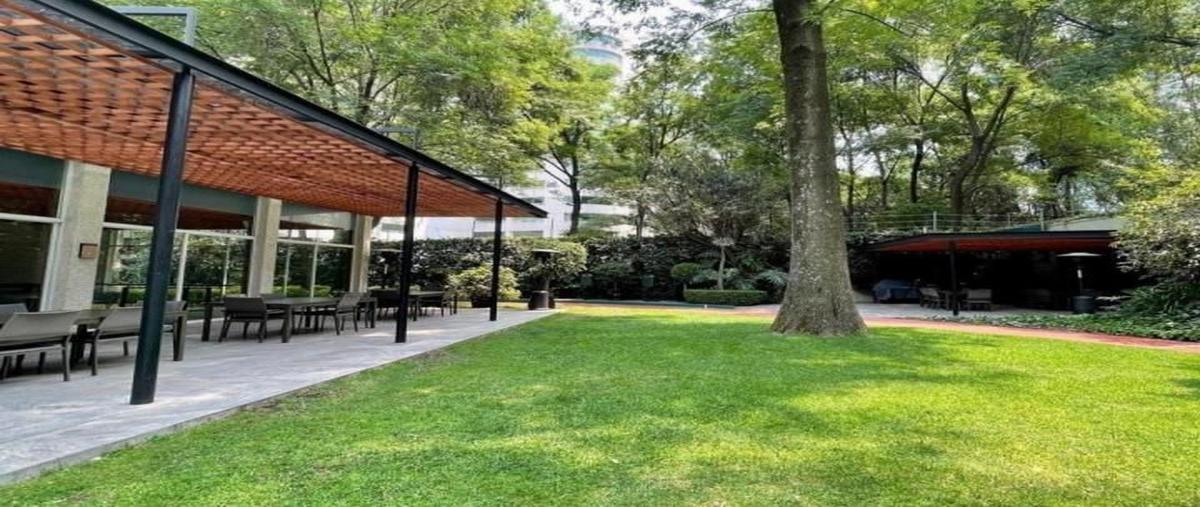 Foto de departamento en renta en  , lomas de chapultepec vii sección, miguel hidalgo, df / cdmx, 0 No. 05