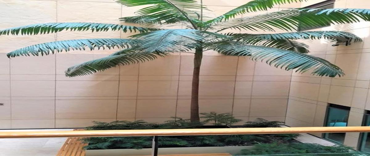 Foto de oficina en renta en  , lomas de chapultepec vii sección, miguel hidalgo, df / cdmx, 0 No. 05