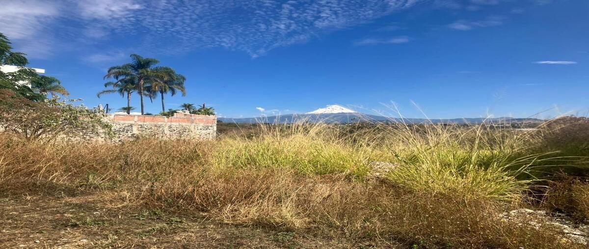 Foto de terreno habitacional en venta en  , lomas de cocoyoc, atlatlahucan, morelos, 29111525 No. 03