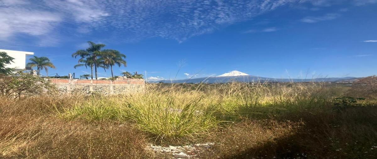 Foto de terreno habitacional en venta en  , lomas de cocoyoc, atlatlahucan, morelos, 29111525 No. 04