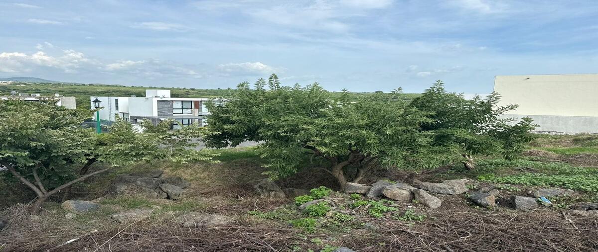 Foto de terreno habitacional en venta en  , lomas de cocoyoc, atlatlahucan, morelos, 0 No. 05