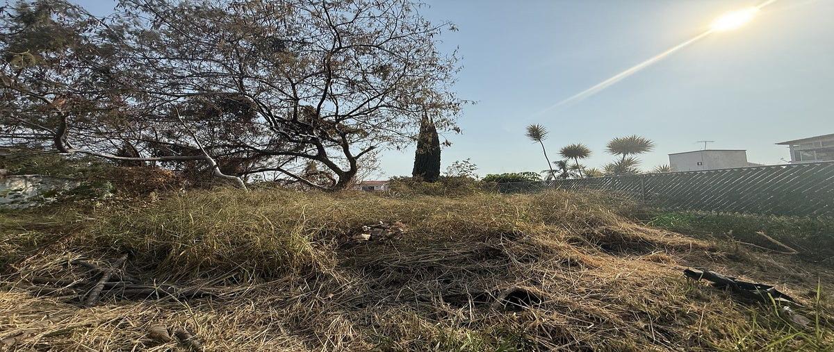 Foto de terreno habitacional en venta en  , lomas de cocoyoc, atlatlahucan, morelos, 0 No. 05