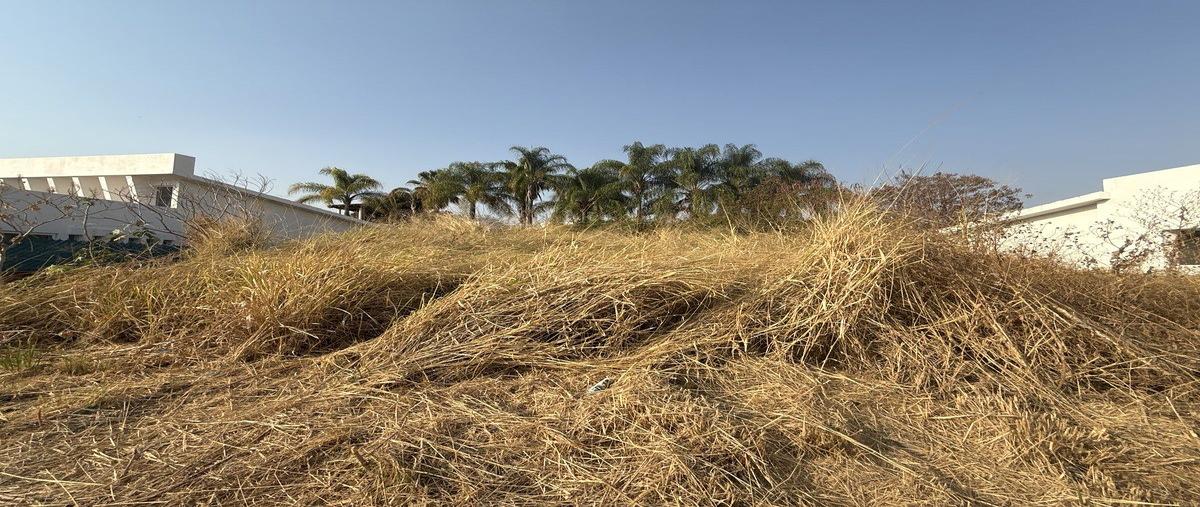 Foto de terreno habitacional en venta en  , lomas de cocoyoc, atlatlahucan, morelos, 0 No. 05