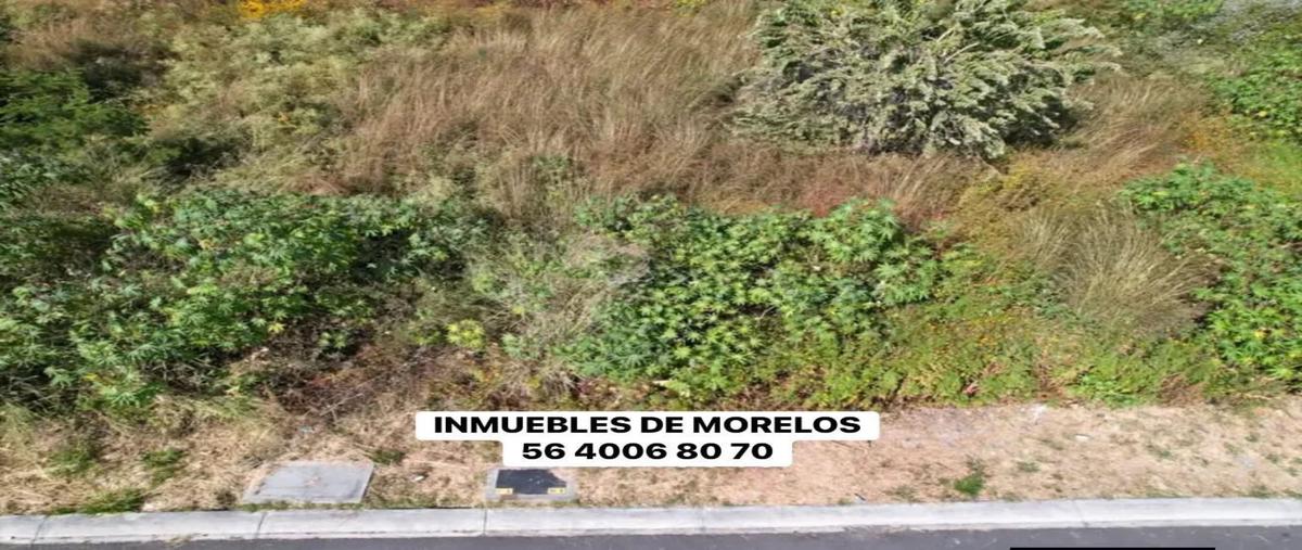 Foto de terreno habitacional en venta en  , lomas de cocoyoc, atlatlahucan, morelos, 0 No. 03