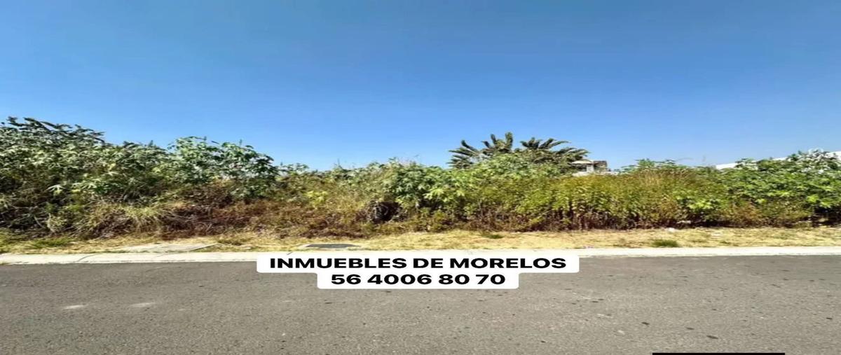 Foto de terreno habitacional en venta en  , lomas de cocoyoc, atlatlahucan, morelos, 0 No. 05