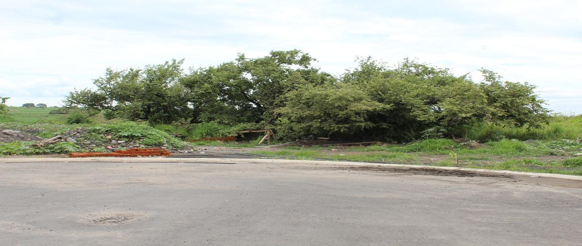 Foto de terreno habitacional en venta en lomas de cocoyoc , lomas de cocoyoc, atlatlahucan, morelos, 29492795 No. 05