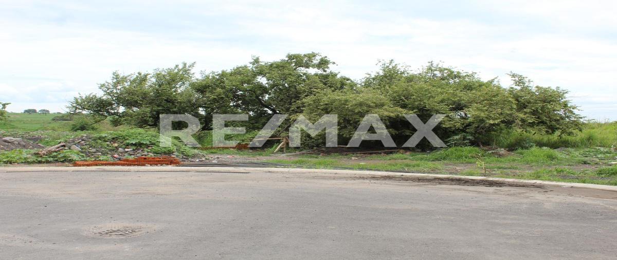 Foto de terreno habitacional en venta en lomas de cocoyoc , lomas de cocoyoc, atlatlahucan, morelos, 0 No. 05