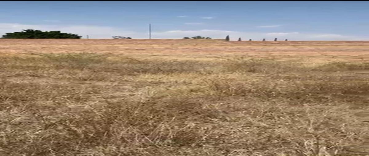 Foto de terreno habitacional en venta en  , lomas de comanjilla, león, guanajuato, 26349574 No. 05
