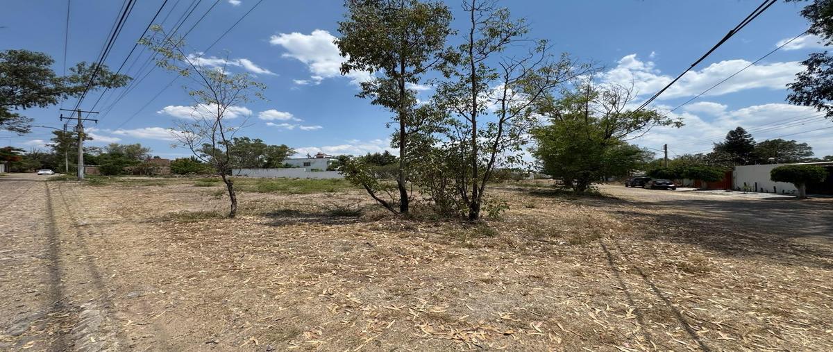 Foto de terreno habitacional en venta en  , lomas de comanjilla, león, guanajuato, 0 No. 04