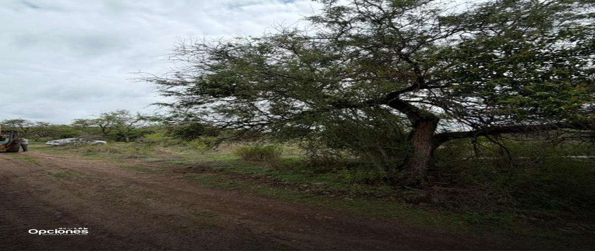 Foto de terreno habitacional en venta en  , lomas de comanjilla, león, guanajuato, 0 No. 03
