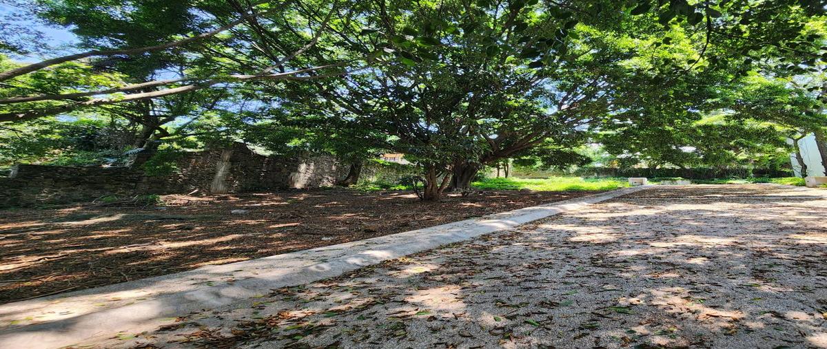 Foto de terreno habitacional en venta en  , lomas de cortes, cuernavaca, morelos, 30163782 No. 03