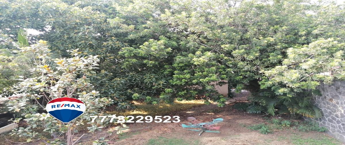 Foto de terreno habitacional en venta en lomas de cortés , lomas de cortes, cuernavaca, morelos, 27381526 No. 04