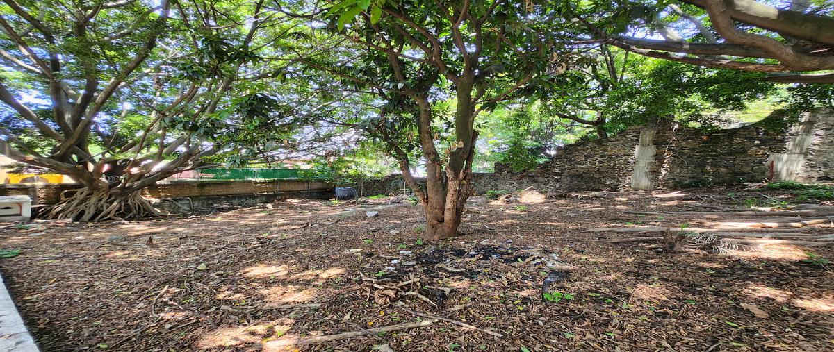 Foto de terreno habitacional en venta en lomas de cortés , lomas de cortes, cuernavaca, morelos, 30207933 No. 05