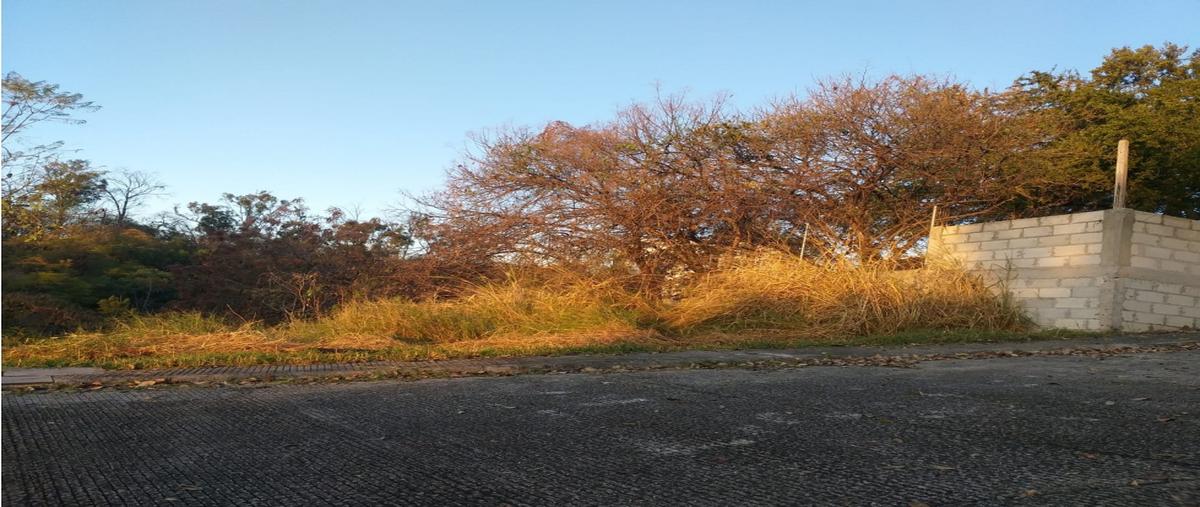 Foto de terreno habitacional en venta en  , lomas de coyuca, cuernavaca, morelos, 0 No. 03