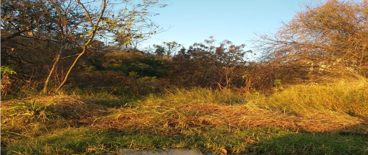 Foto de terreno habitacional en venta en  , lomas de coyuca, cuernavaca, morelos, 0 No. 05