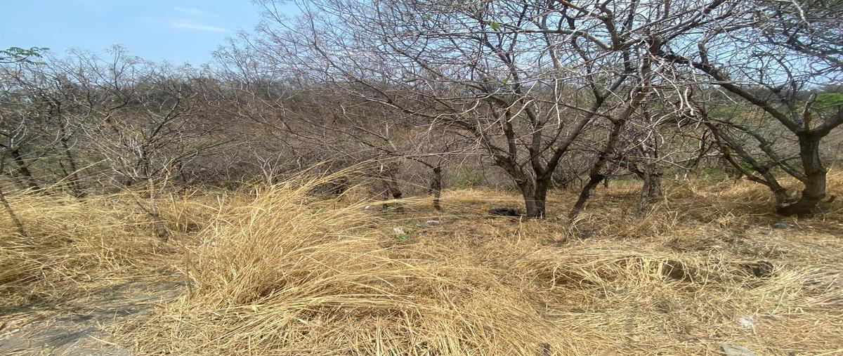 Foto de terreno habitacional en venta en  , lomas de coyuca, cuernavaca, morelos, 0 No. 03