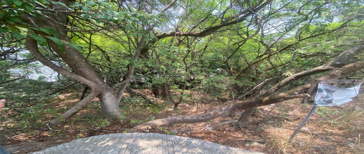 Foto de terreno habitacional en venta en  , lomas de coyuca, cuernavaca, morelos, 0 No. 04