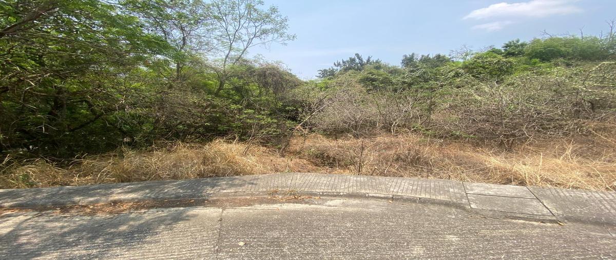Foto de terreno habitacional en venta en  , lomas de coyuca, cuernavaca, morelos, 0 No. 05