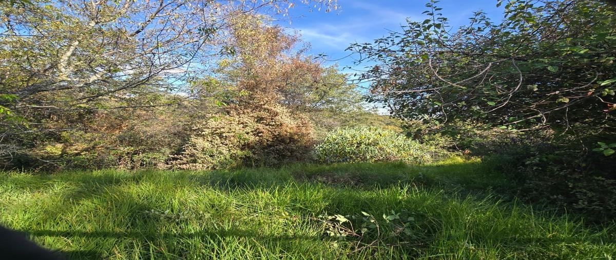Foto de terreno habitacional en venta en  , lomas de guadalupe, álvaro obregón, df / cdmx, 30968759 No. 04