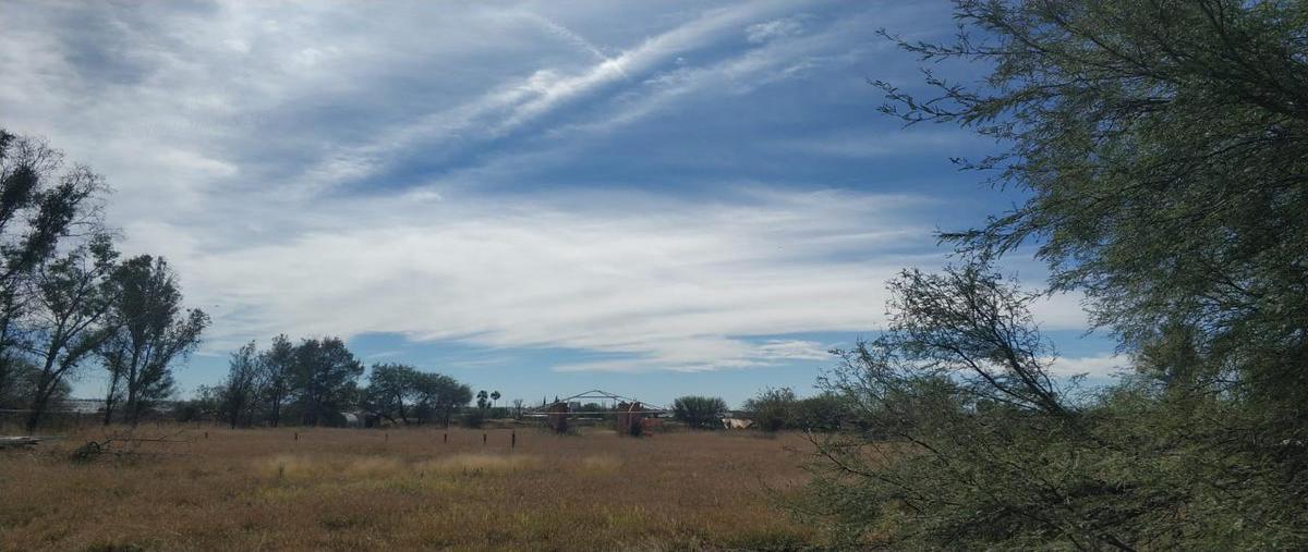 Foto de terreno habitacional en venta en  , lomas de jesús maría, jesús maría, aguascalientes, 0 No. 05
