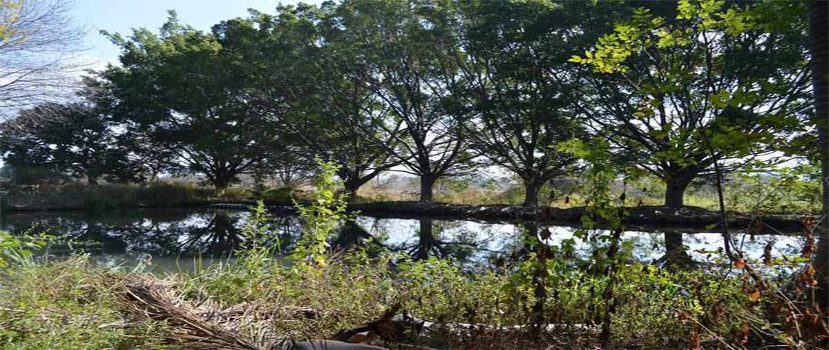 Foto de terreno habitacional en venta en  , lomas de jiutepec, jiutepec, morelos, 0 No. 04