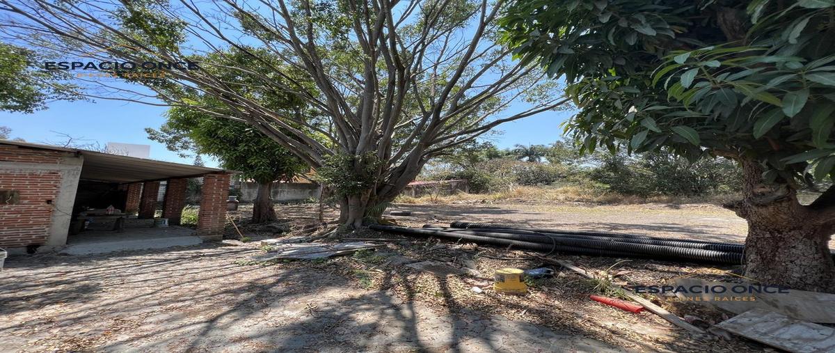 Foto de terreno habitacional en venta en  , lomas de jiutepec, jiutepec, morelos, 26282806 No. 04