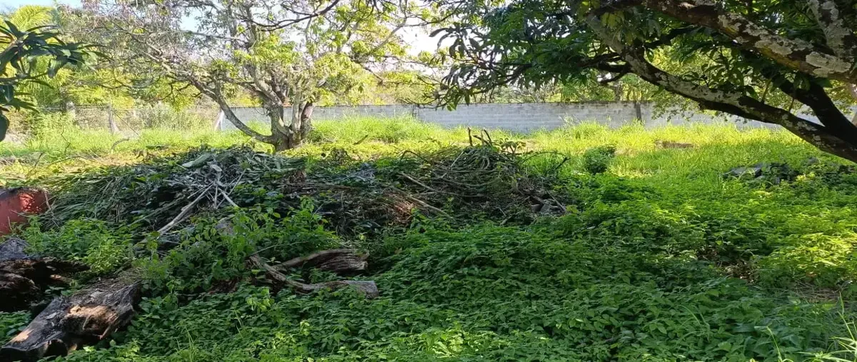 Foto de terreno habitacional en venta en * *, lomas de jiutepec, jiutepec, morelos, 0 No. 04
