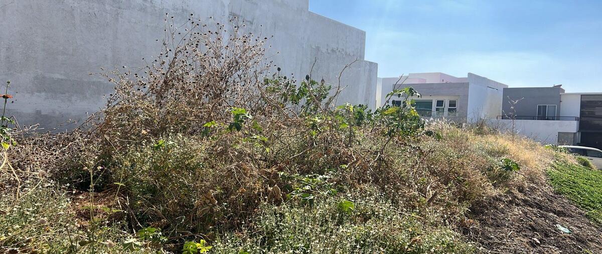 Foto de terreno habitacional en venta en  , lomas de juriquilla, querétaro, querétaro, 0 No. 05