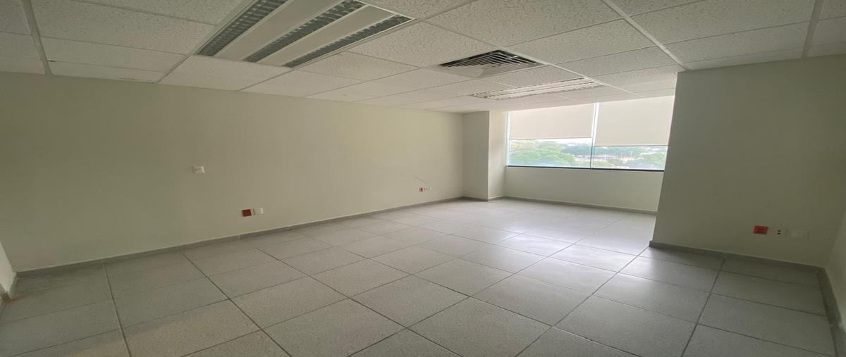 Foto de local en renta en  , lomas de la aurora, tampico, tamaulipas, 30299686 No. 04