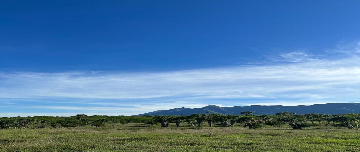 Foto de terreno habitacional en lomas de la boca , la boca, santiago, nuevo león, 27173267 foto 02 Foto de terreno habitacional en venta en lomas de la boca , la boca, santiago, nuevo león, 27173267 No. 02