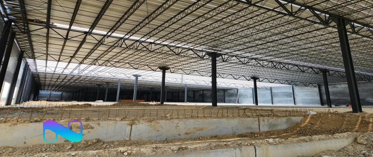 Foto de bodega en renta en  , lomas de la paz, apodaca, nuevo león, 30139769 No. 03