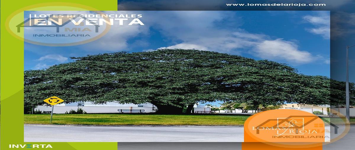 Foto de terreno habitacional en venta en  , lomas de la rioja, alvarado, veracruz de ignacio de la llave, 28225118 No. 04