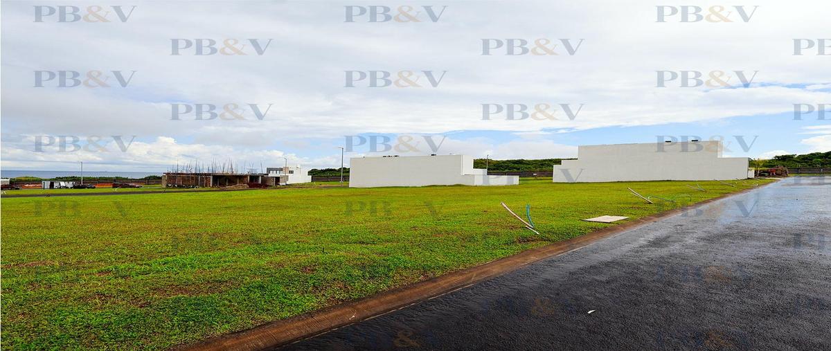 Foto de terreno habitacional en venta en  , lomas de la rioja, alvarado, veracruz de ignacio de la llave, 0 No. 05