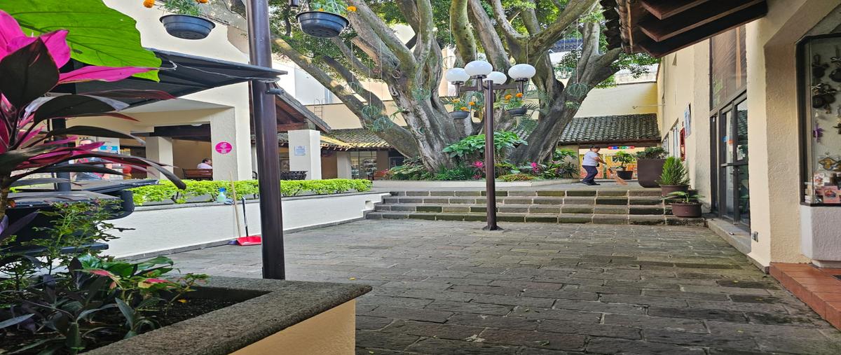 Foto de local en venta en  , lomas de la selva, cuernavaca, morelos, 0 No. 03