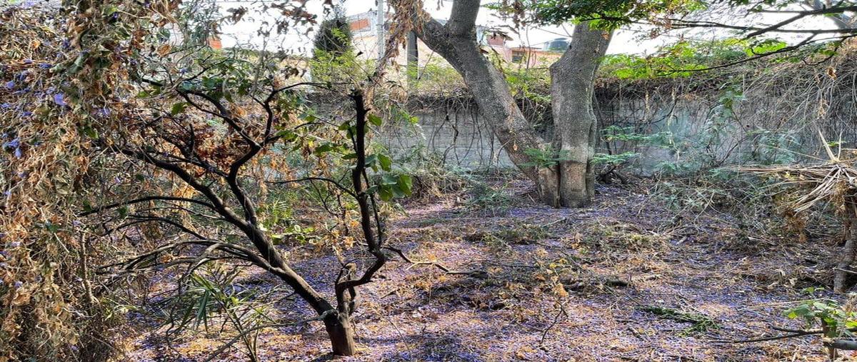 Foto de terreno habitacional en venta en  , lomas de las águilas, álvaro obregón, df / cdmx, 0 No. 04