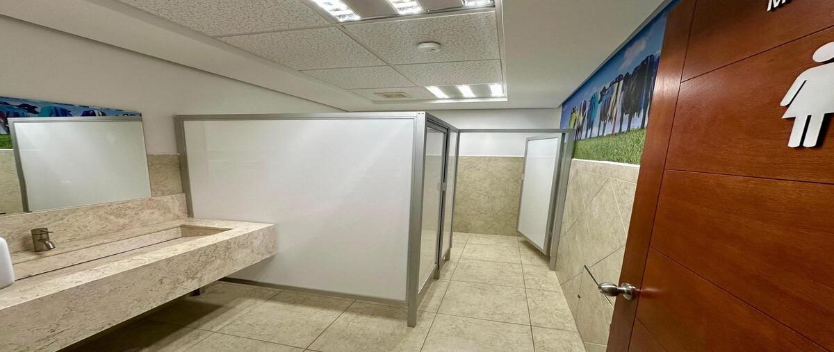 Foto de oficina en renta en  , lomas de los filtros, san luis potosí, san luis potosí, 0 No. 04