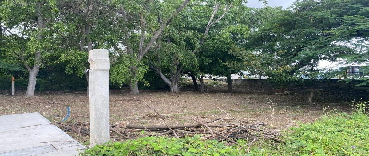 Foto de terreno habitacional en . , lomas de mactumatza, tuxtla gutiérrez, chiapas, 28187887 foto 05 Foto de terreno habitacional en venta en . , lomas de mactumatza, tuxtla gutiérrez, chiapas, 28187887 No. 05